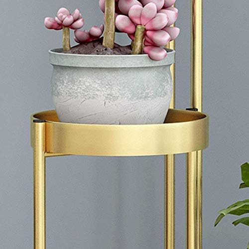 Plant Stand—Foldable Metal Plant Stand for Living Room Bedroom 4 Tier Gold Flower Pot Rack Display Holder Garden Wedding Decoration Space 120cm Tall image 5