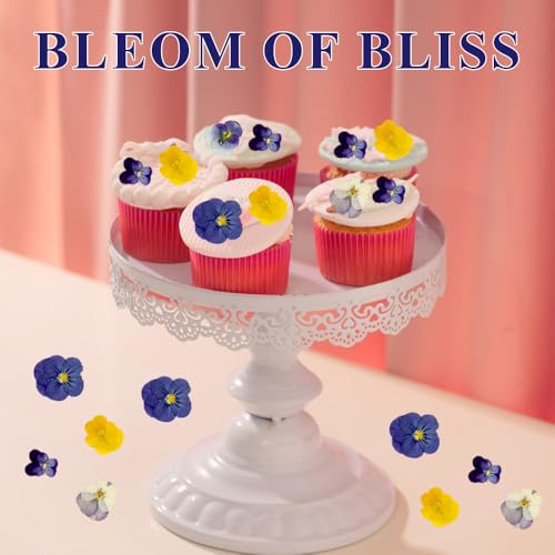 48 flores comestibles prensadas naturales para manualidades miniatura 4