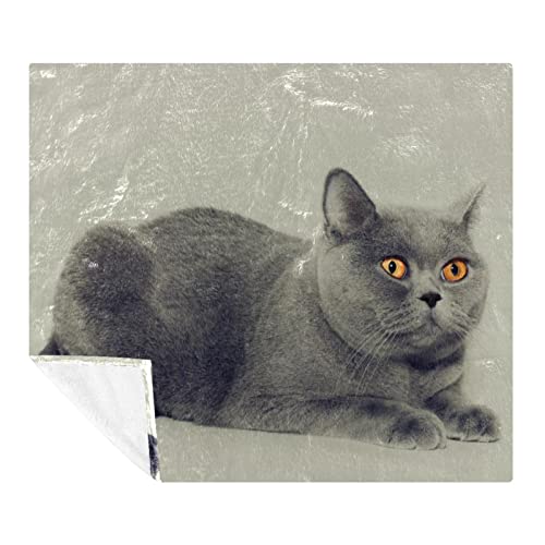 Couverture de sieste en peluche chat gris ultra moelleuse
