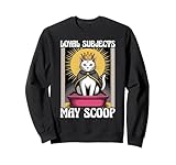 Funny Cat Designs