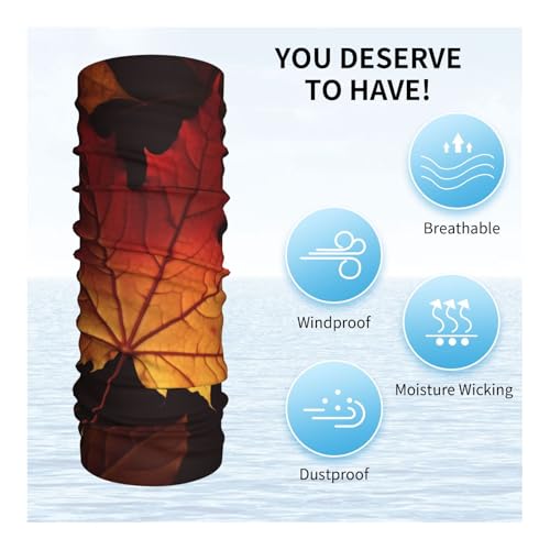 Fall Autumn Leaves Neck Gaiter UV Sun Protection Face Mask Scarf Cooling Breathable Face Cover for Men Women Elastic Balaclavas Versatile Bandana, Sun & Wind-proof for Skiing Hiking4