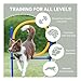Trixie Agility Ring, 115×ø 3 cm, ø 65 cm