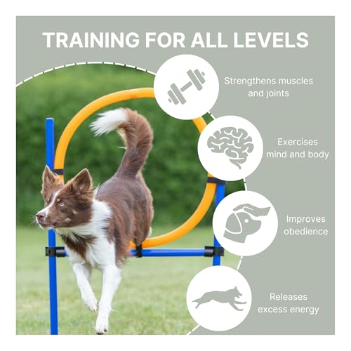 Trixie Agility Ring, 115×ø 3 cm, ø 65 cm