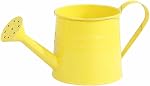 Metal Watering Can for Indoor Plants - 1L Vintage Garden Sprinkling Can with Long Spout & Handle, Rust-Resistant Tinplate Watering Kettle for Indoor Outdoor Lawn, Flower & Garden Care (Yellow)