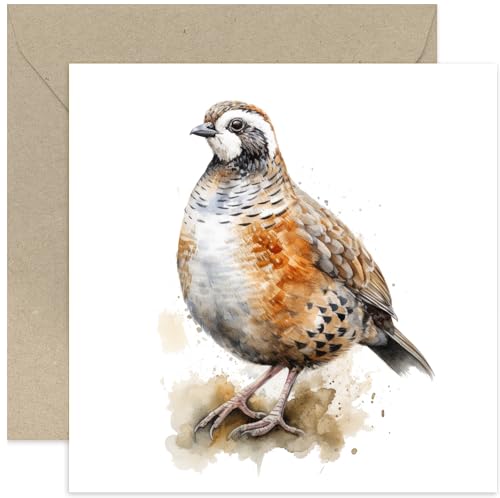 Old English Co. Watercolour Quail Bird Greeting Card for Birthday - Cute Countryside Birthday Card for Mum, Nan, Her - Wildlife Art Card for Thinking of You, Thank You, Just Because | Blank Inside