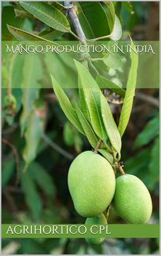 Mango Production In India (All About Fruits and Nuts)