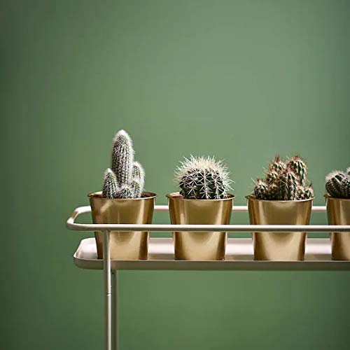 4 plant pot Gray 4 in tall Concrete Flower Plant Pot Geometric Mini Planter main image 0