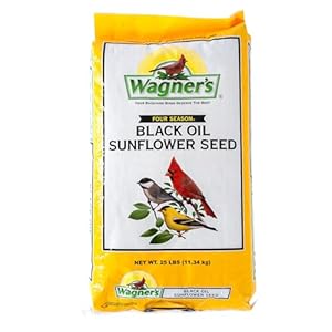 Wagner’s 76027 Black Oil Sunflower Wild Bird Food, 25-Pound Bag