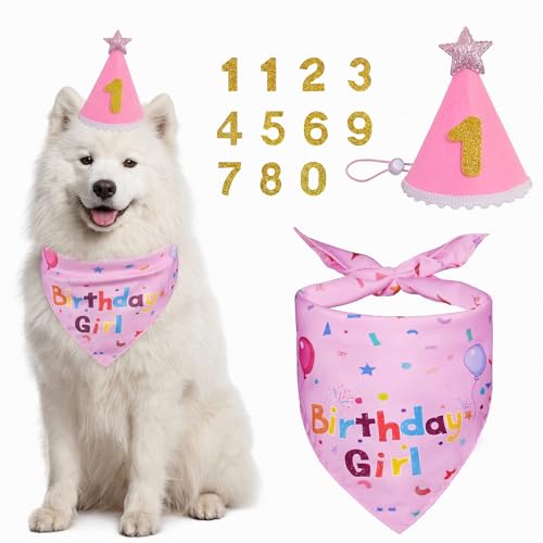 Dog Birthday Party Supplies Dog Birthday Bandana Set, Dog Boy Girl Birthday Party Hat with Numbers for Large, Medium & Small Dog (Pink)