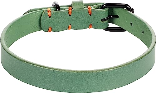 Flamingo Dog Collar Leano Green M 36-44cm 20mm