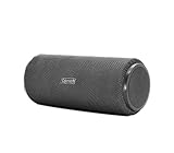Coleman CBT90 Portable Water Resistant Bluetooth Speaker, Gray