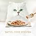 Gourmet Gold Saftig-feine Streifen, Katzenfutter nass, mit Lachs, 12er Pack (12 x 85g)