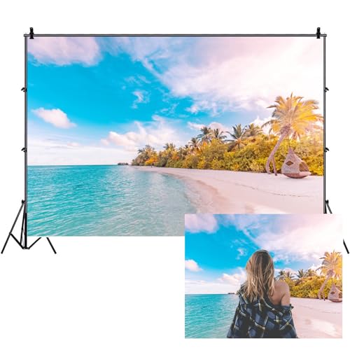 Fond photographique grand format 3x2,5m haute définition soleil