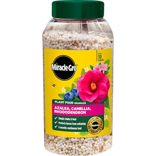 Miracle Gro Premium Azalea Camellia and Rhododendron Continuous Release Plant Food White
