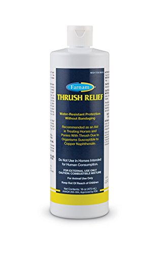 Farnam 100520087 270726 Relief Thrush Treatment Aid in Horses and Ponies, 16 oz
