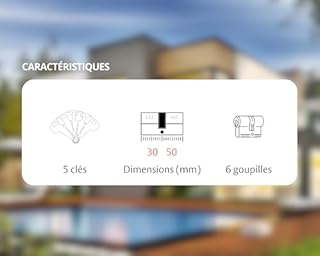 Vachette Cylindre VELIX 30x50 Double Entrée - Finition Nickelée - Résistance Bumping, Perçage et Crochetage - Fonction SYNKRO - 5 Clés Réversibles et Carte de Propriété - Garantie 2 Ans