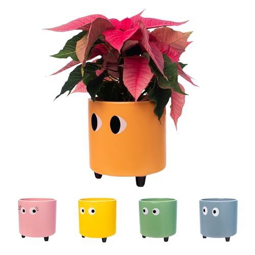 FISURA- Original-Blumentopf mit Augenmotiv. Dekoratives Pflanzgefäß für den Innenbereich. Keramik Sukkulenten Töpfe. Keramiktopf für Blumen und Sukkulenten. 13 x 12,5 cm. (Orange)