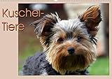 14 Seiten bestehend aus 1 Coverbild | 12 Monatsbilder | 1 Indexseite. Inklusive Papprücken hinten und vorderseitig einer Klarsichtfolie.