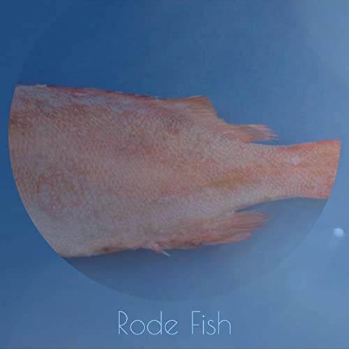 Fisch Huanted Rode Amazon.co.jp: Rode Fish : VARIOUS ARTISTS: デジタルミュージック
