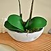 YSZL Large Artificial Potted Orchid Plant, Silk Flower Arrangement with Ceramics Vase, White