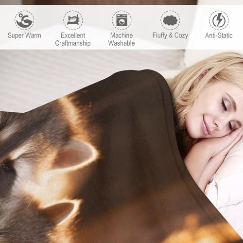 Couverture raton laveur pour des soirées cocooning sur le canapé