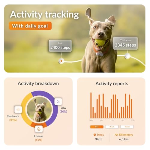 Weenect Dog XS - GPS Tracker for Dogs | Real-time Mini GPS Tracker for Dogs | Waterproof | Smallest model on the market | Operates with a subscription - Image 3