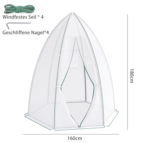 WELLGRO Mini Gewächshaus für 24 Pflanzen - ca. 27x19x10 cm (LxBxH) je Zimmergewächshaus, grün/transparent, Kunststoff/Zellulose - Menge wählbar, Stückzahl:2 Stück 4 WELLGRO Mini Gewächshaus für 24 Pflanzen - ca. 27x19x10 cm (LxBxH) je Zimmergewächshaus, grün/transparent, Kunststoff/Zellulose - Menge wählbar, Stückzahl:2 Stück – Bild 4