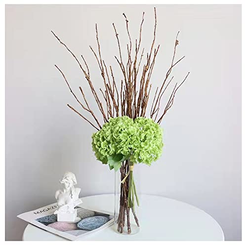 Bakoukiter 5PCS Artificial Lifelike Curly Willow Branches Decorative Dried Birch Twigs 25.9 Inch Fake Bendable Sticks Stems for Craft Vases Home Wedding Decor