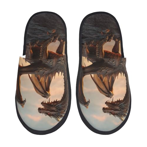 Sky Sunset Bronze Dragon Print Women Slippers Home Furry Shoes Keep Men Couples Shoes Warm For Women-