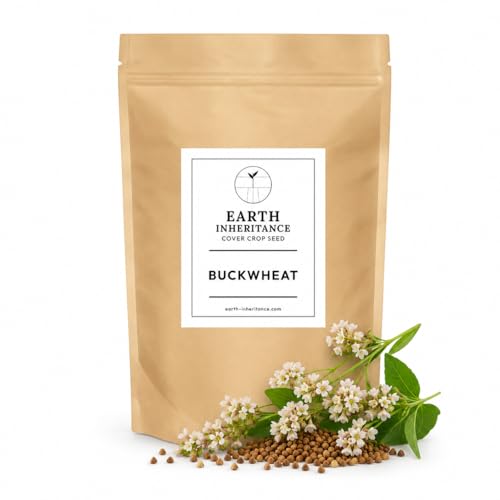 Buckwheat Seed 1 lb Cover Crop & Food Plot Seed | Covers up to ~1 000 sq ft | Non-GMO USA-Grown Uncoated | Pollinator Cover & Summer Food Plot for Deer (1 Pound)