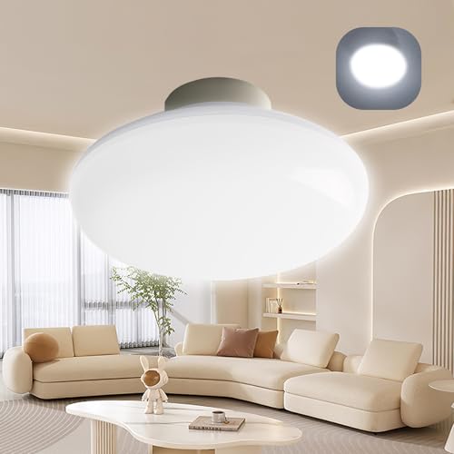 LEDV[OCg 8 6 20W 4000LM V[O+Cg VƖ  u dC dF F F F Ɩ V V[OCg 6 Led tȒP ̌^ ȒPt Hsv ȃGl 50000