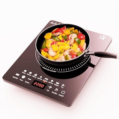 Plaque à induction, 2200W plaque de cuisson induction portable avec fonctionnement silencieux, 8 modes de cuisson tactile avec capteur, brûleur de comptoir...
