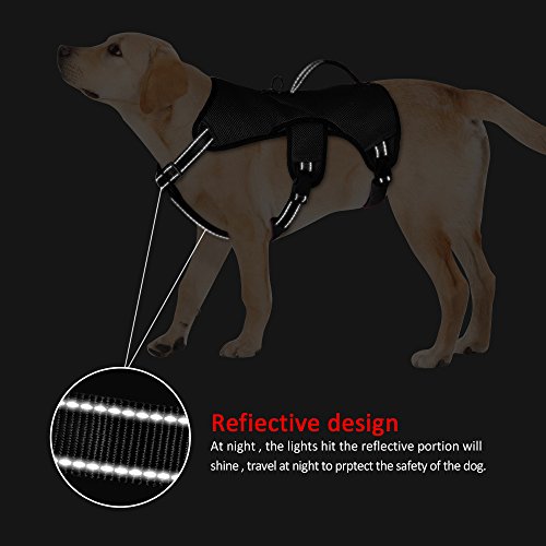 Didog Multi-Use Escape Proof Dog Harnesses For Escape Artist Dogs,Reflective Adjustable Vest Harlter With Durable Handle And Leash Ring For Medium Large Dogs Hiking Walking Trails,Black,M Size #TOP3