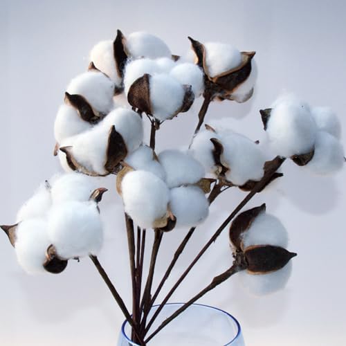 LATRAT Juego de 10 ramas de flores artificiales decorativas en algodón natural para balcón, casa, mesa, arreglo floral