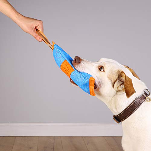 Jouets à mâcher Pawtex contre l'ennui du chien - Pack de 4 durable