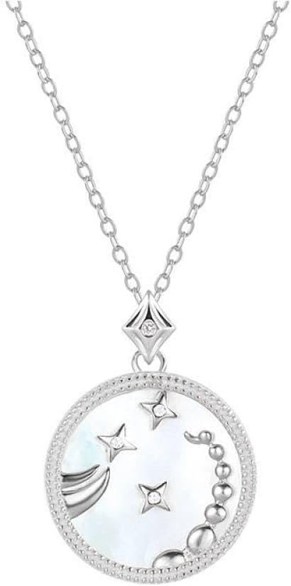 Collier signe du zodiaque en argent S925, le cadeau d'anniversaire idéal pour fille