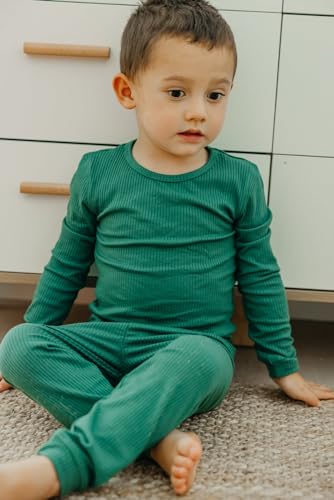 Copper Pearl Two Piece Long Sleeve Toddler Pajamas PJ Sets for Boys and Girls - Adorable Pattern Pajamas, Breathable Fabric to Keep Cool While Sleeping, Sizes 12 Months to 5T - Balsam4