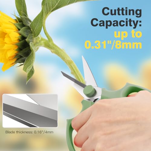 Image of Housolution Flower Scissors, Strong Floral Shears,3PCS Premium Steel Garden Pruning Shears Floral Fruits Leaf Scissors Hand Pruner Snip Trimming Tool for Gardening Flower Arrangement, Green