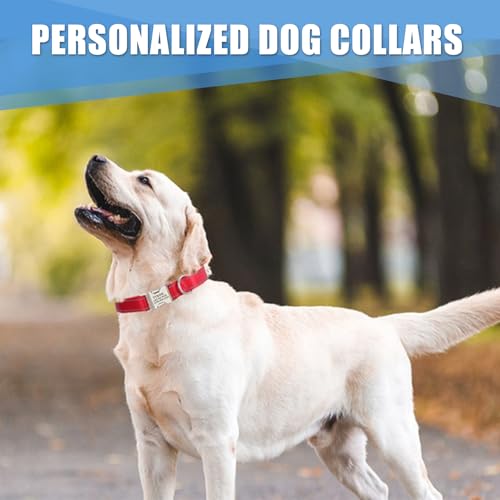 Personalisiertes Hundehalsband mit lasergravierbarem Namen, reflektierendes Nylon-Haustierhalsband mit Metallschloss, anpassbar in der Größe, Geschenk für Hunde(Blau)