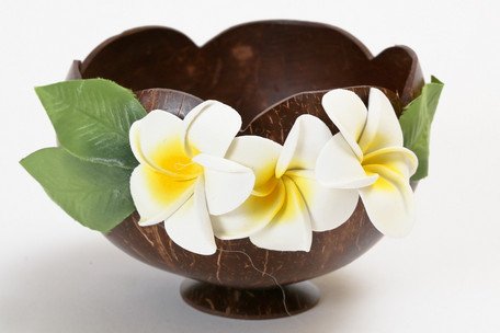 Amazon.co.jp: ハワイアン 天然ココナッツ使用 スタンド小物入れ