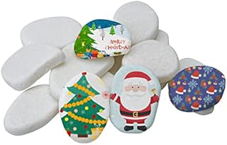 Hisredsun 20pcs Small white Painting Pebbles, 1.1-1.9inches Smooth Pebbles for Painting Rocks for Arts,Crafts, Garden Decoration