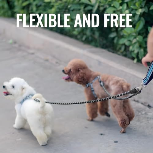 Jecdfs 1pcs Hundeleine Doppelleine für 2 Hunde,schleppleine für kleine Hunde,Verstellbare Doppelleine aus Kletterseil, Keine Verwicklung, Sicher und Robust,Schwarz