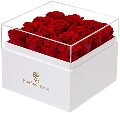 Eterfield Handmade Preserved Roses in a Box Real Roses Rosebox That Last a Year Gift for Her (Square White Box, Red Roses)