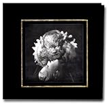 Editions du Collectionneur