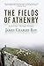 The Fields Of Athenry: A Journey Through Ireland