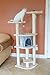 Armarkat Cat Tree Model A6401, Blanched Almond