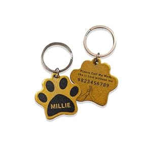 Kakade Design & Prototyping Personalized Dog Name Tag Customized Pet ID Tag for Dogs, cats with Double Side Waterproof Print, Paw Print (Gold)