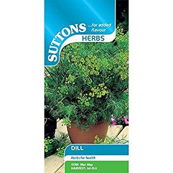 Suttons Seeds 164707 Dill Herb Seed