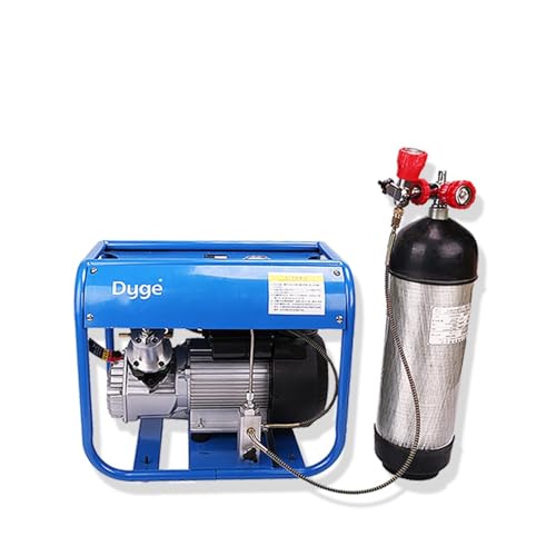 Inflador de buceo Pcp 300bar 30mpa Bomba de aire eléctrica de alta presión de doble cilindro Compresor de aire Neumático for buceo(220V,EU,1380T)