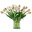 B Style-40pcs Champagne Set(no Vase)